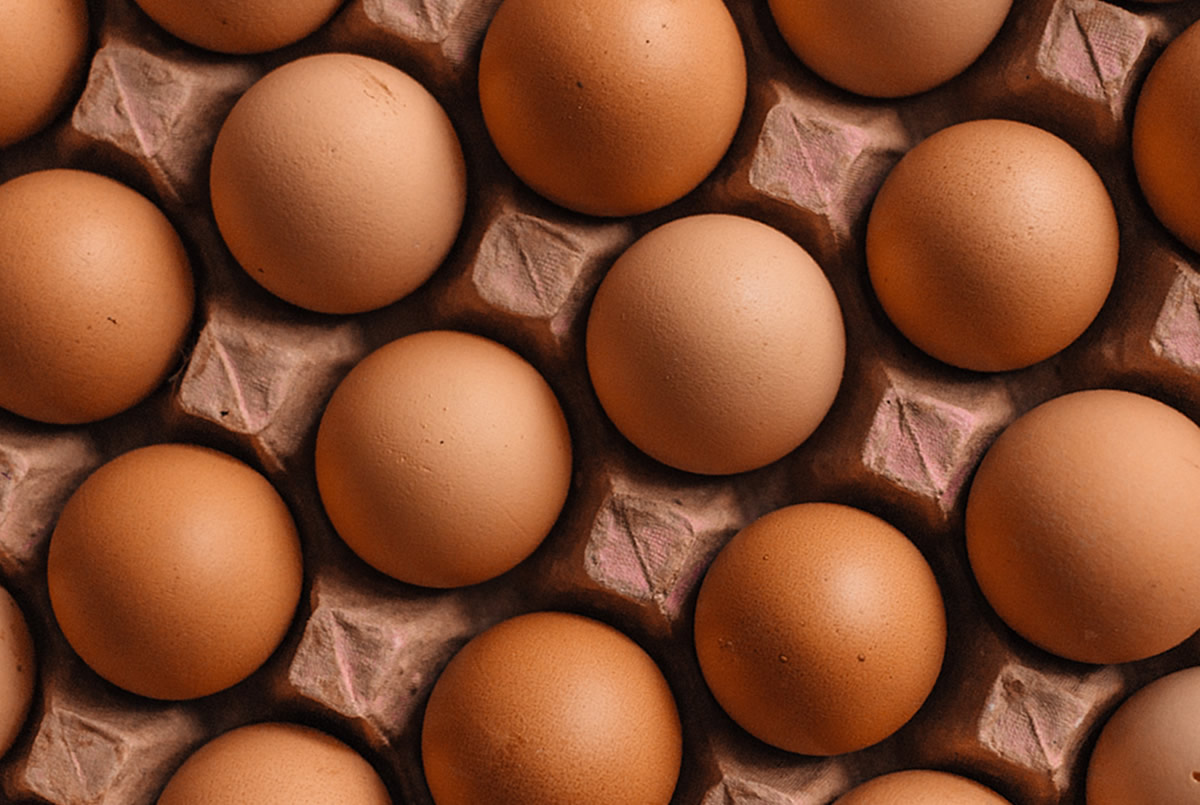 se puede utilizar huevo fresco en hosteleria