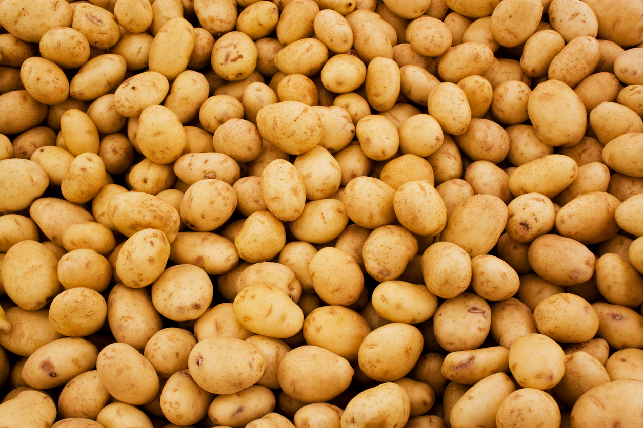tipos de patatas tipos de patatas