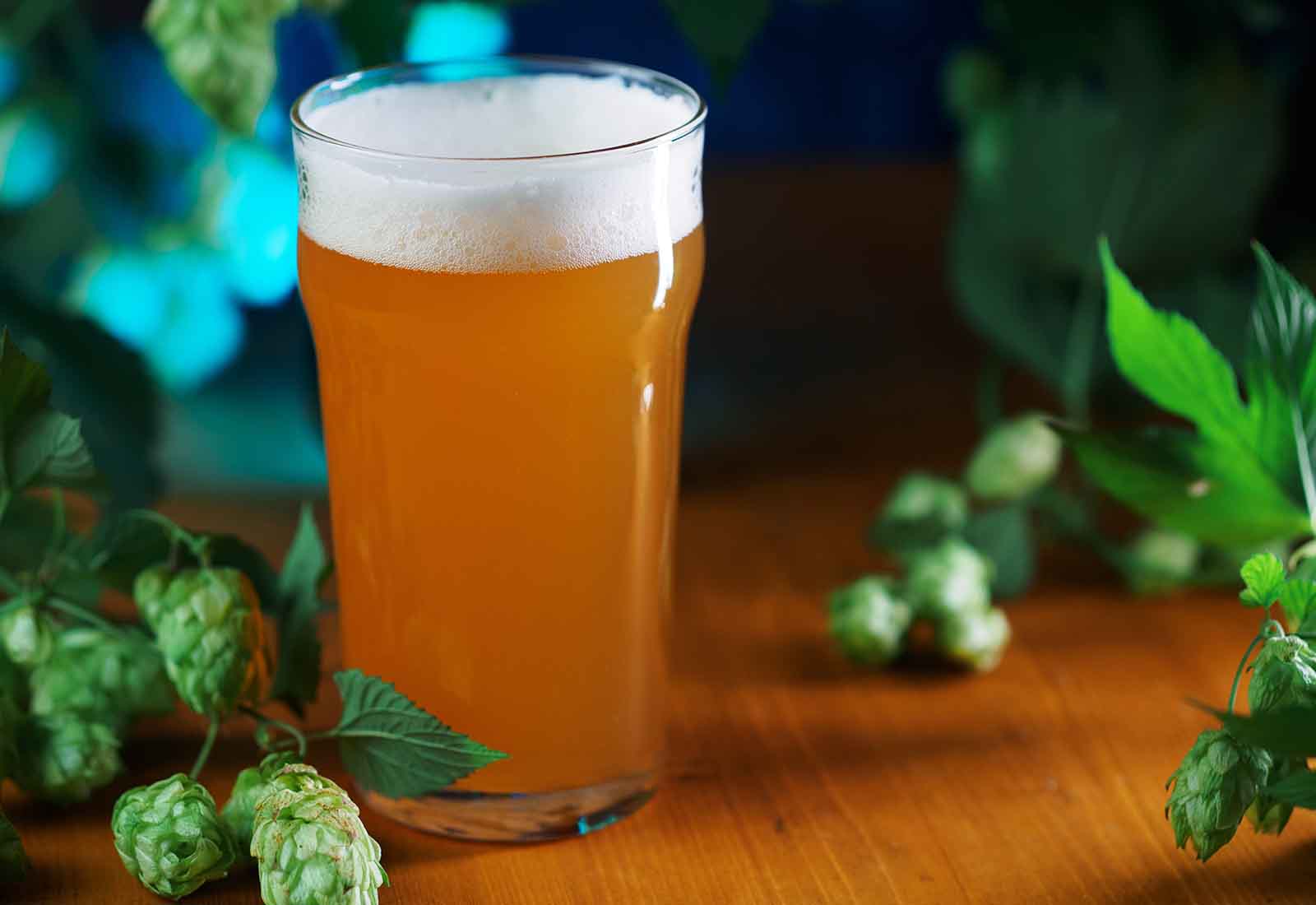 ipa o apa ipa o apa