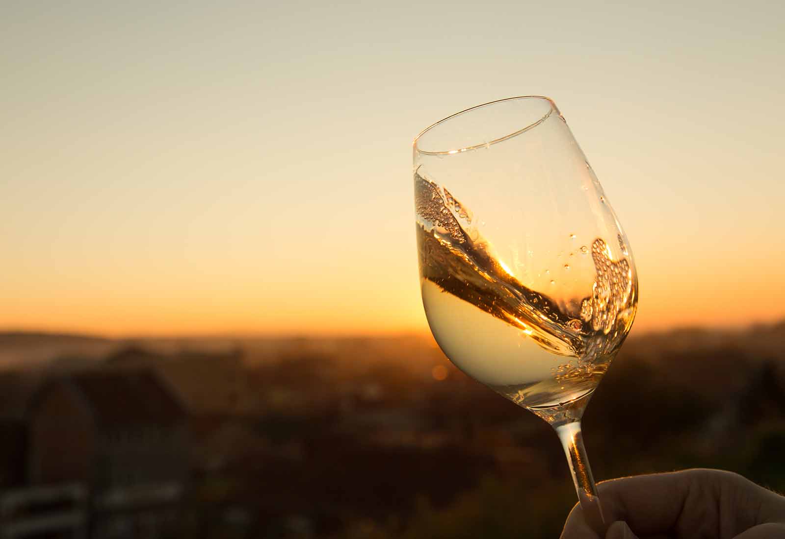 tipos de vino blanco tipos de vino blanco