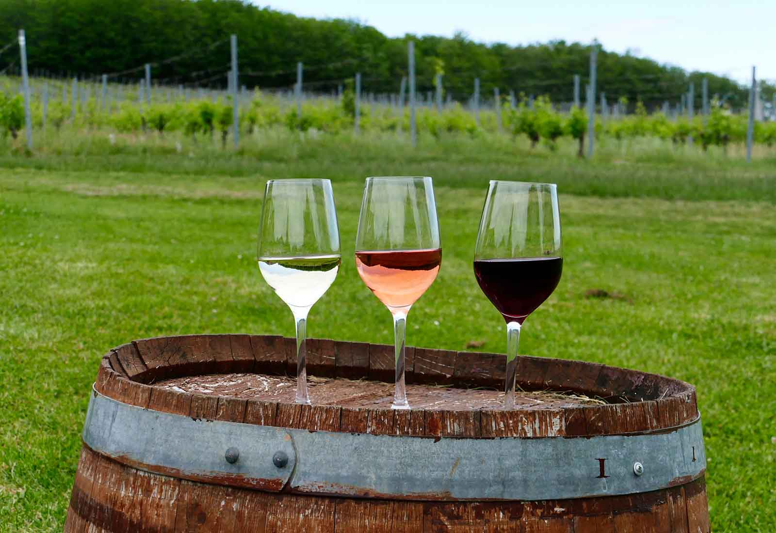 vinos generosos vinos generosos