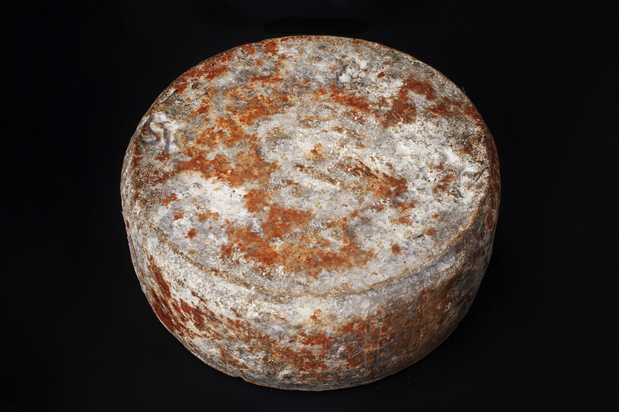 tipos de quesos españoles queso gamonedo