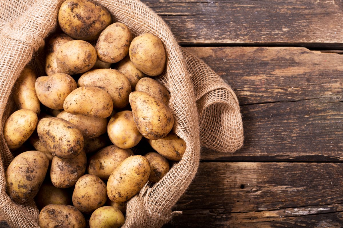 tipos de patatas tipos de patatas