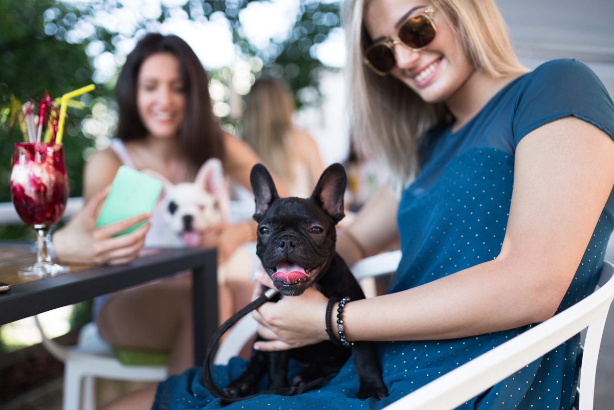 Terrazas pet friendly