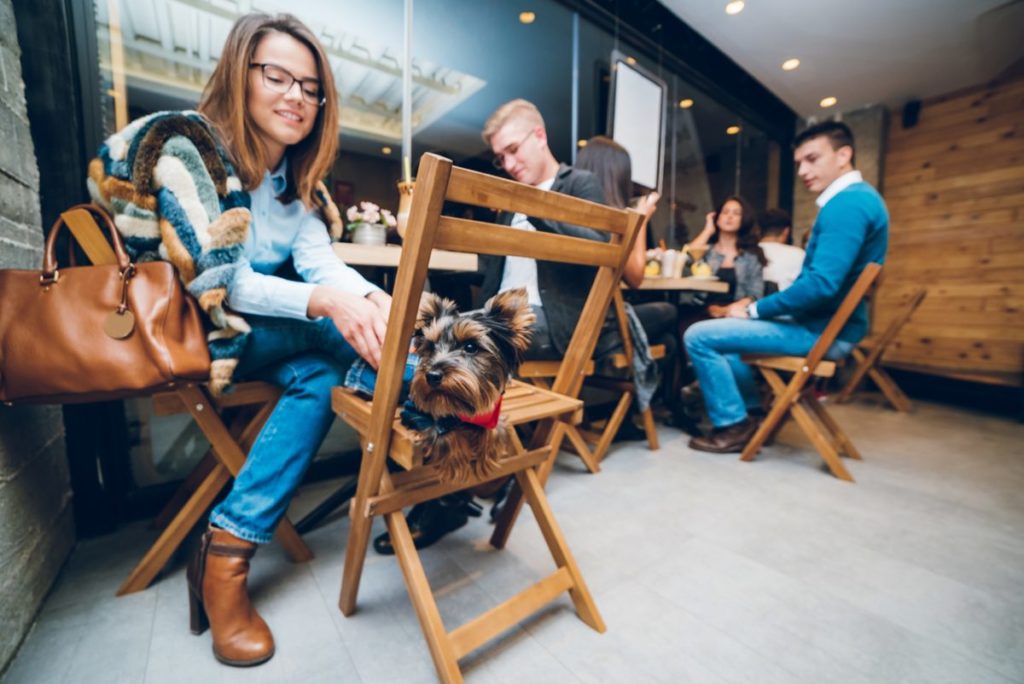 Terrazas y restaurantes pet friendly