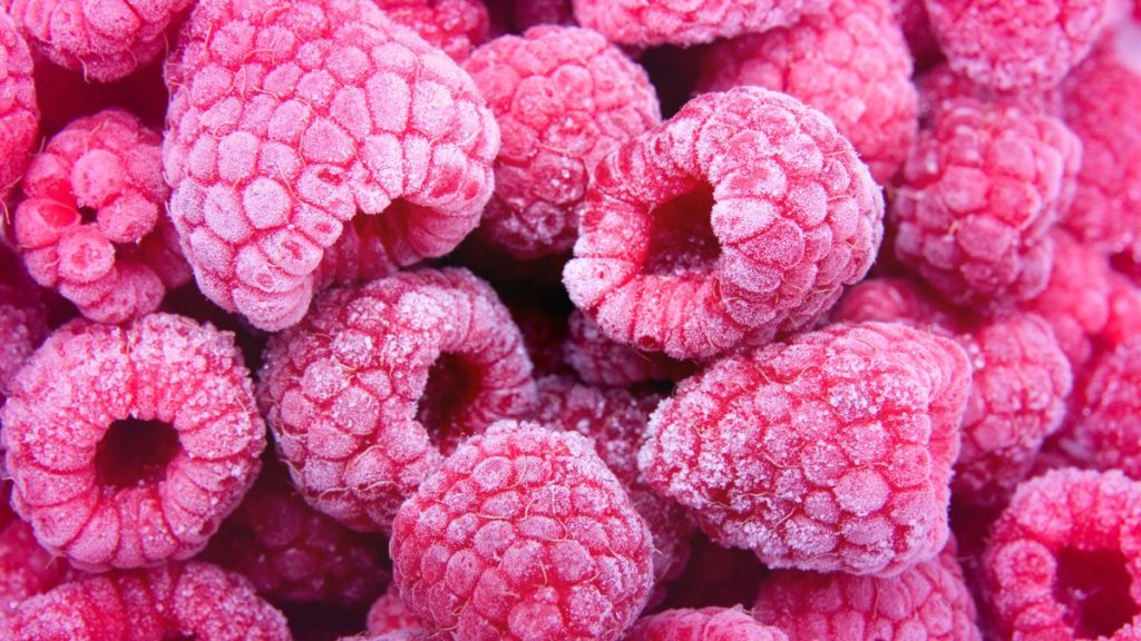 cadena de frío alimentos congelados
